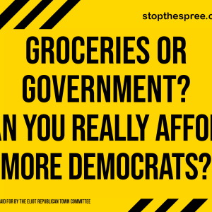 Yard Sign - Groceries or Government? Can You Really Afford More Democrats?