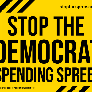 Yard Sign - Stop The Democrat Spending Spree